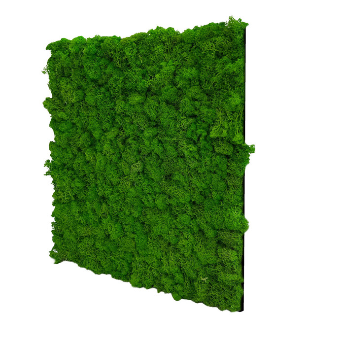 Jangal Modular Wall mospanel 52 x 52 cm - Rich Green